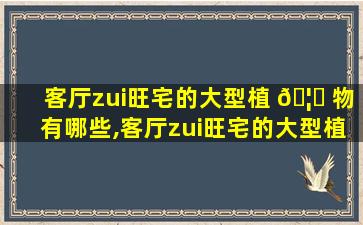 客厅zui
旺宅的大型植 🦟 物有哪些,客厅zui
旺宅的大型植物哪些 🐬 冬天不怕冻